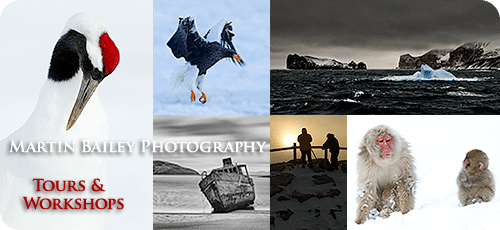 Martin Bailey Photography Tours & Workshops