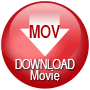 Download Adobe PDF File