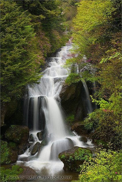 Ryuuzu Falls (Right) with Azalea