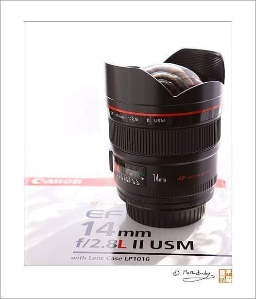 14mm F2.8 Lens Shot with lace curtains behind
