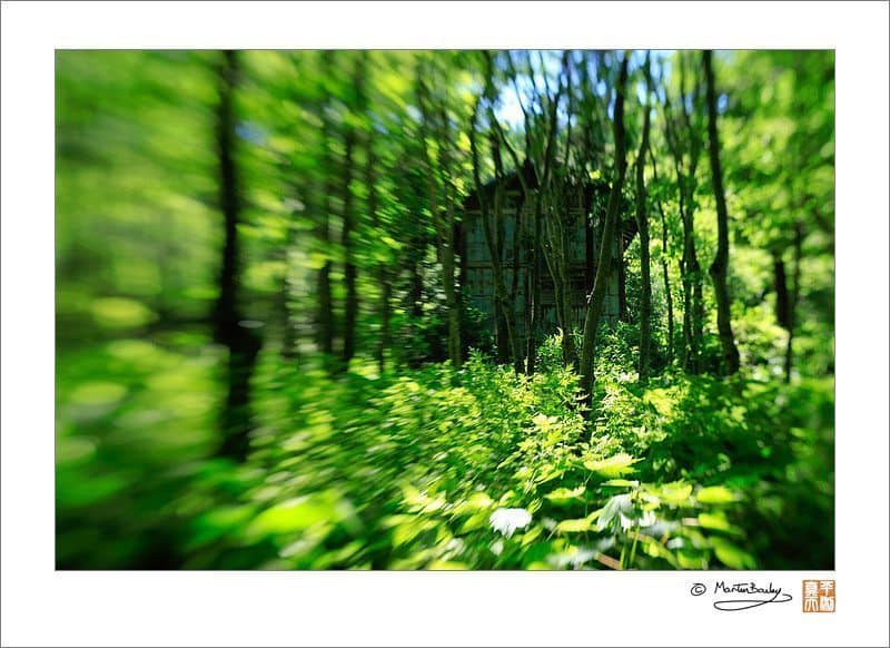 Shack in Woods (Lensbaby @ F5.6)