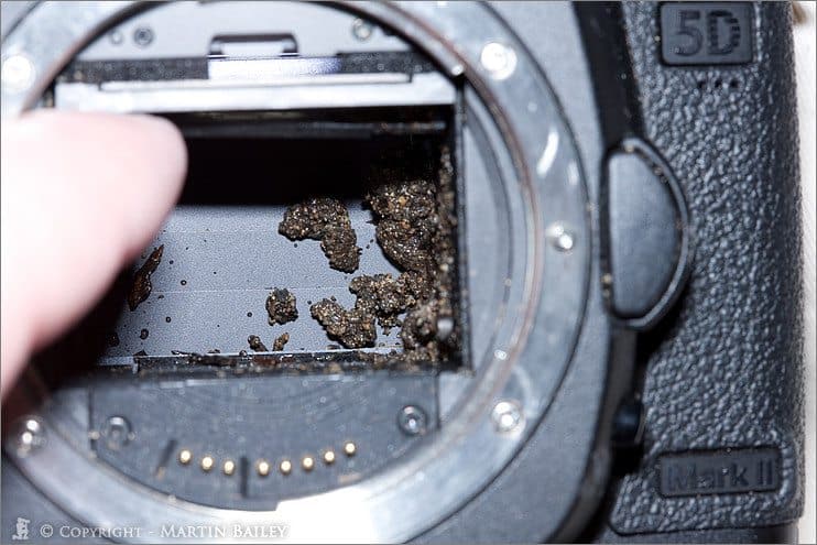The Demise of a Canon EOS 5D Mark II