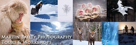 Visit the Martin Bailey Photography Workshops and Photography Tour Web Site
