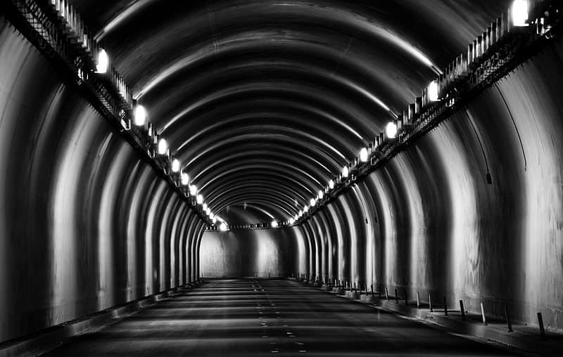 Tunnel of Symmetry (© David Newcomb)