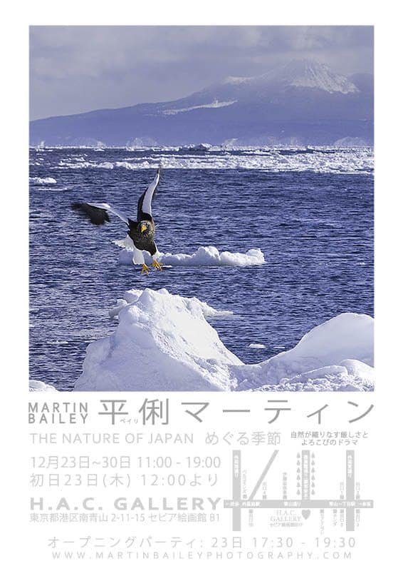 "THE NATURE OF JAPAN" 個展ポスター