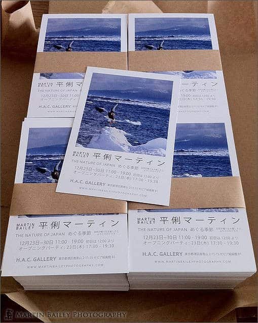 1,000 Post Cards for MBP Exhibition