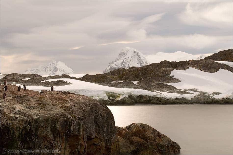 Gentoo Point - Antarctica (original)