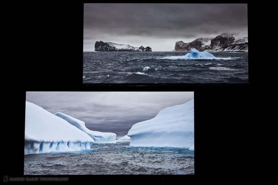 Two Iceberg Gallery Wraps