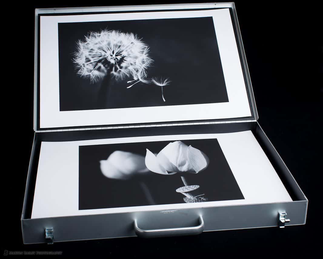 MBP Portfolio Case with Flower Shots