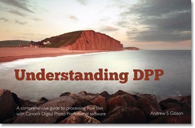 Understanding DPP