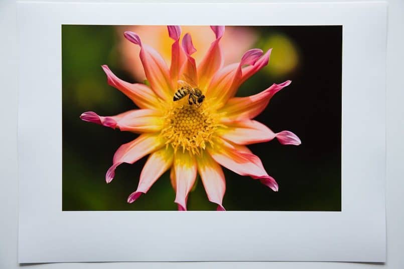 #3d Canon Semi-Gloss Photo paper printed with the Canon profile. Rendering Intent: Perceptual