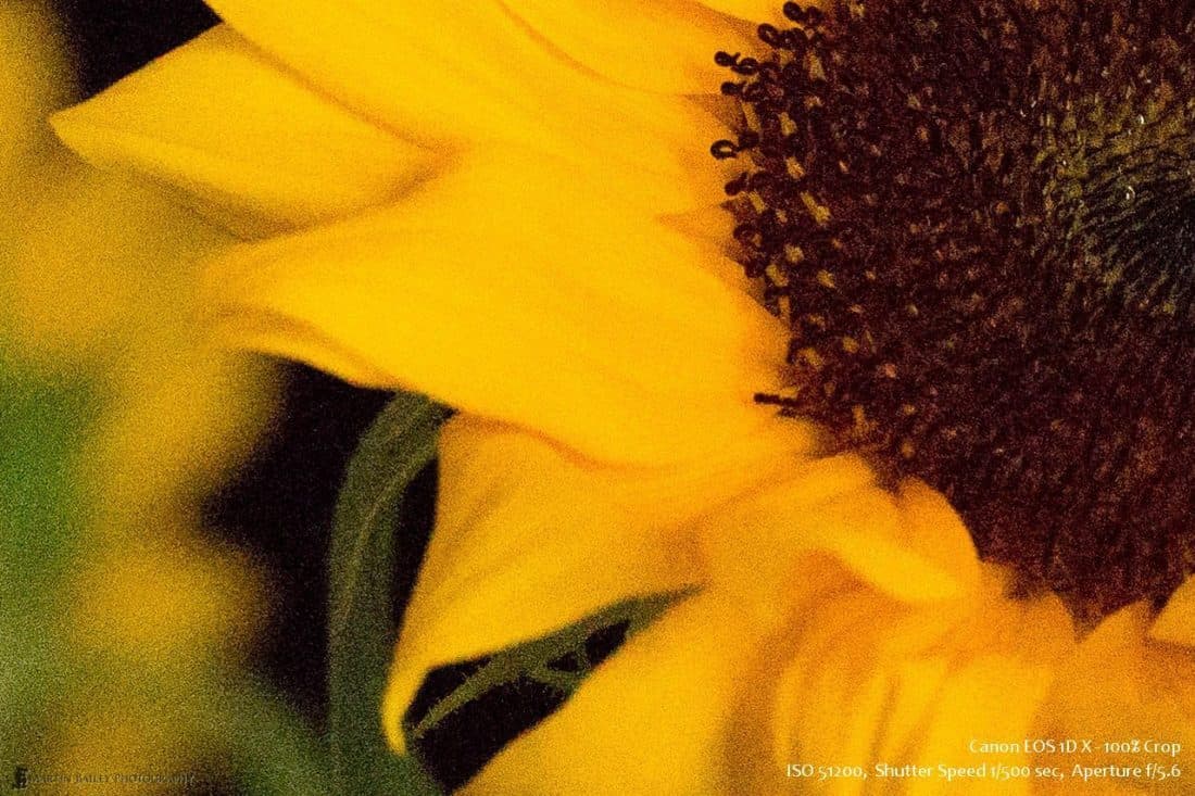 1DX ISO 51200 @ 100%