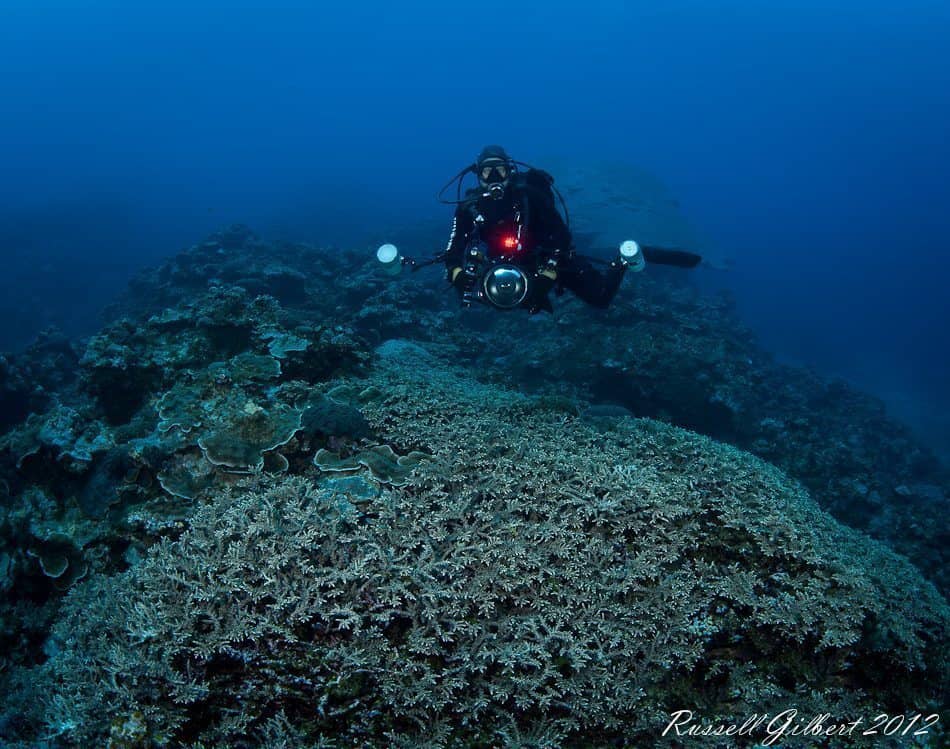 Shawn at Wajee Reef © Russell Gilbert