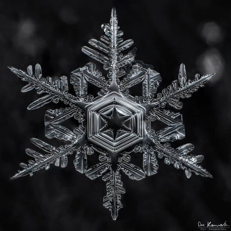 Snowflake - Don Komarechka