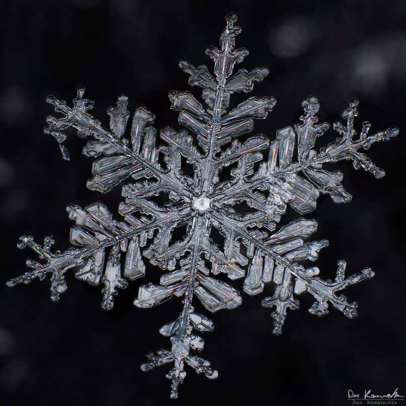 Snowflake - Don Komarechka