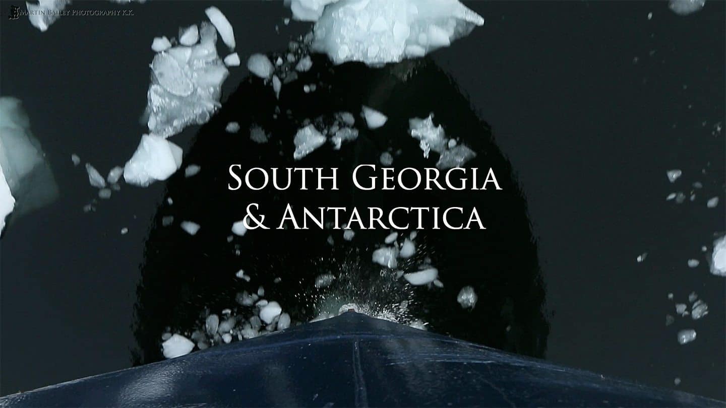 Antarctica and South Georgia 2012 (Video – Podcast 367)