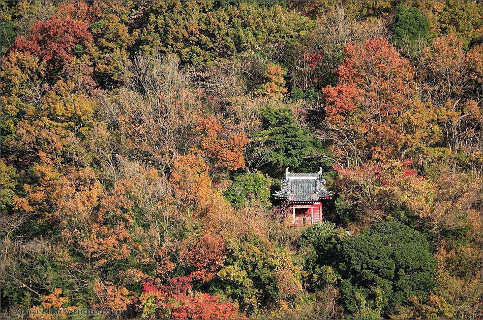 Small Shrine in Autumn Leaves