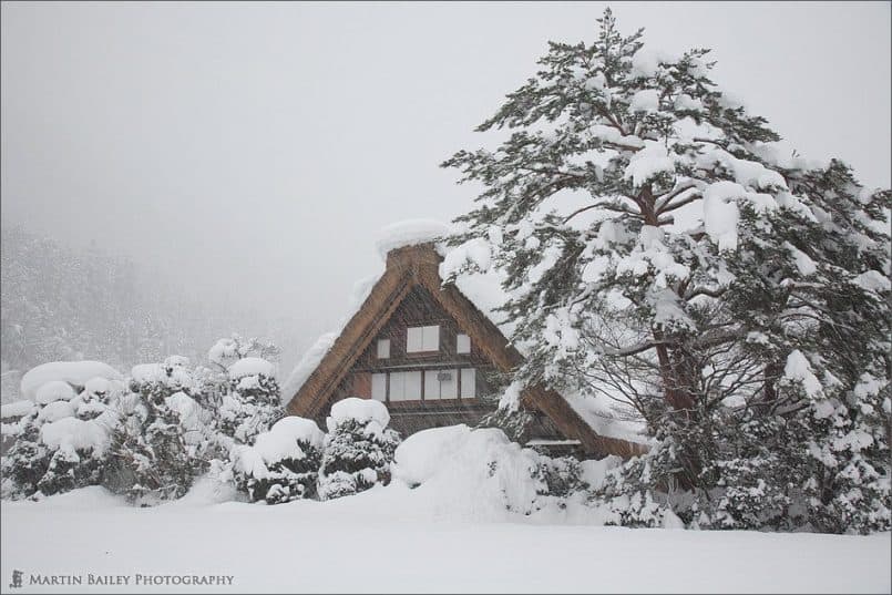 Winter Shirakawagou