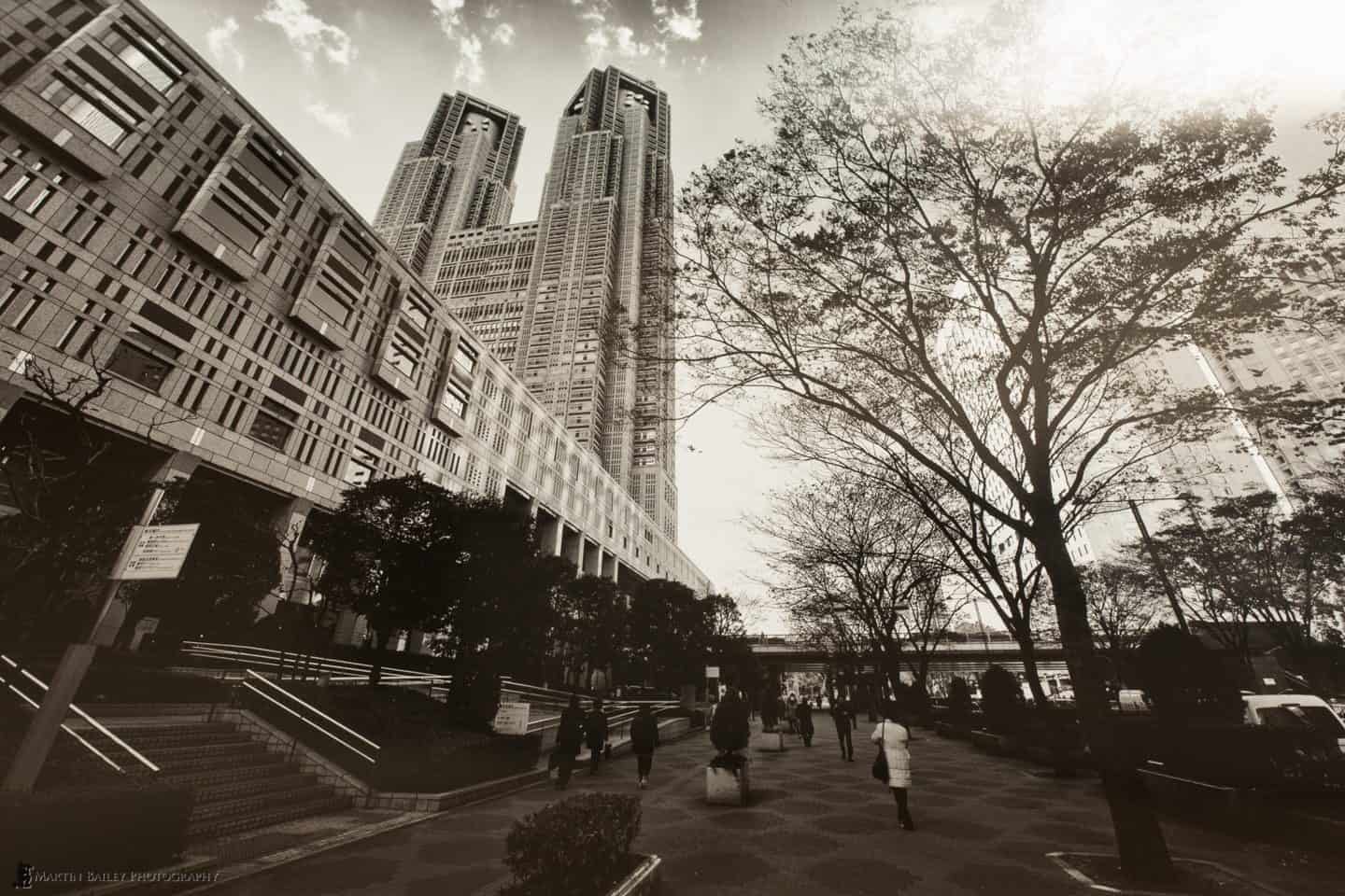 Tokyo Metropolitan Building on Vibrance Metallic