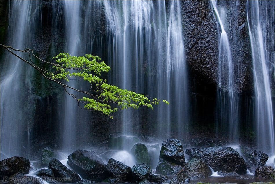 Daybreak Falls - Tatsuzawa Falls #4