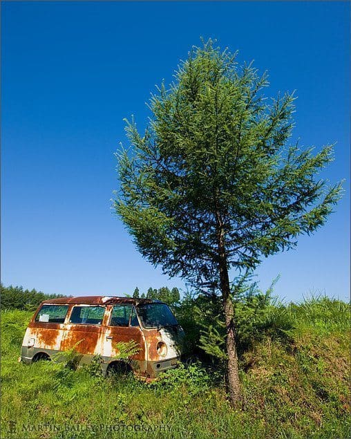 Van, Tree, Sky