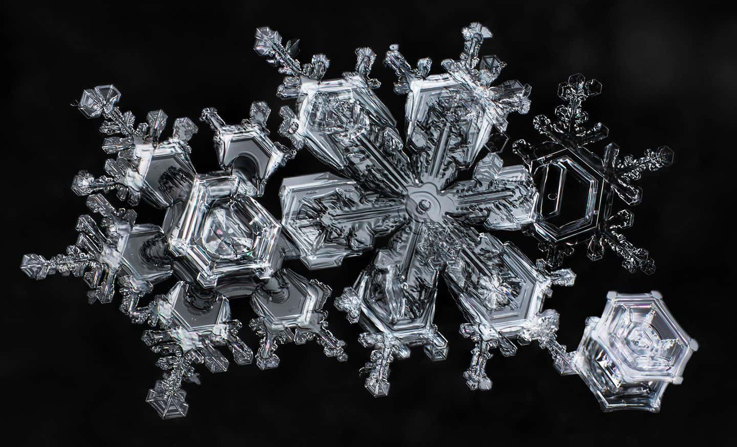 Snowflakes © Don Komarechka