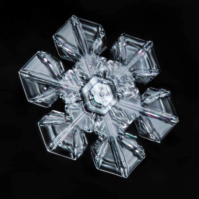 Snowflake © Don Komarechka
