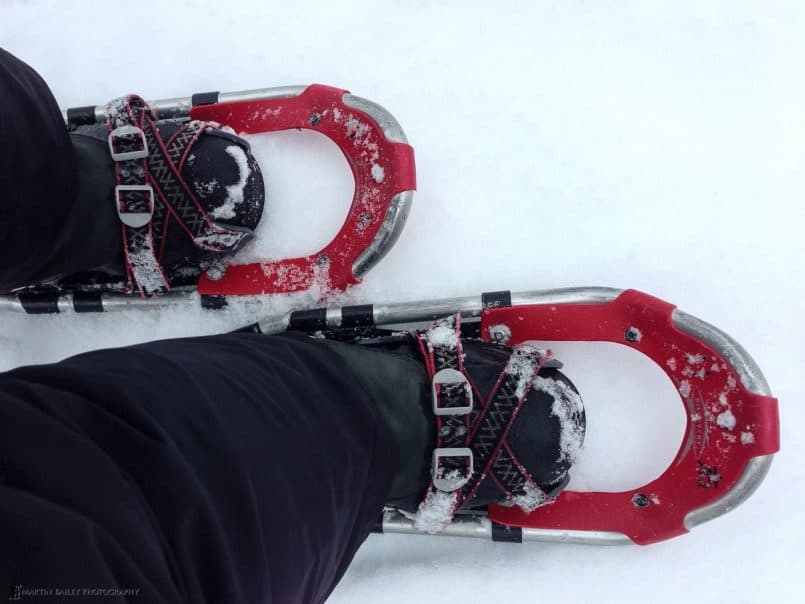 Snow Shoes