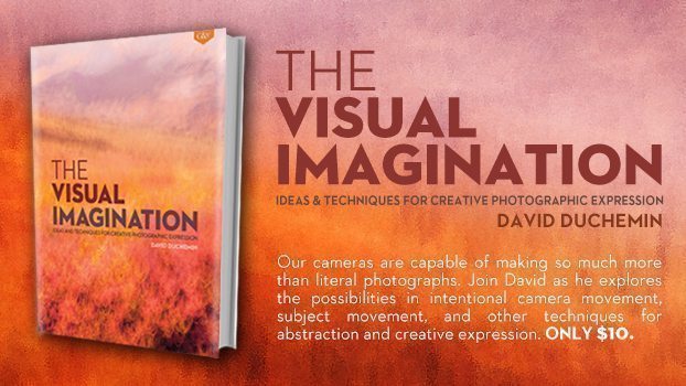 The Visual Imagination