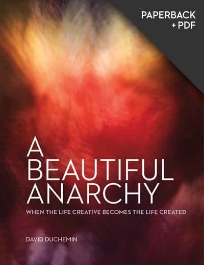 A Beautiful Anarchy - Paperback + PDF