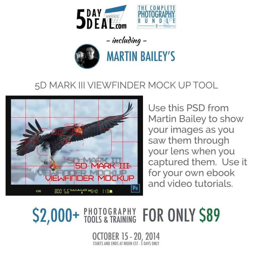 5DayDeal-Martin-Bailey-Feature
