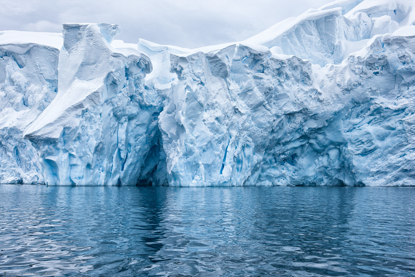 Iceberg in "Paradise"