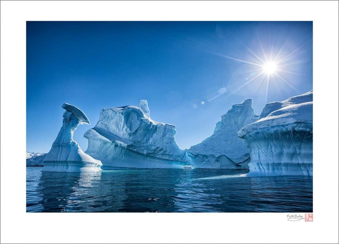 Portal Point Icebergs