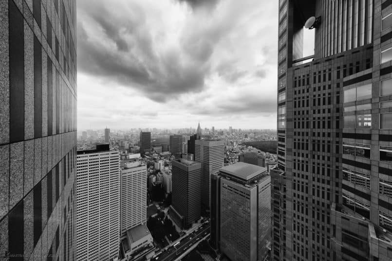 Tokyo from Metropolitan Government Building