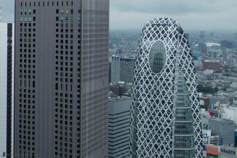 The Cocoon from Metropolitan Government Building (100% Crop)