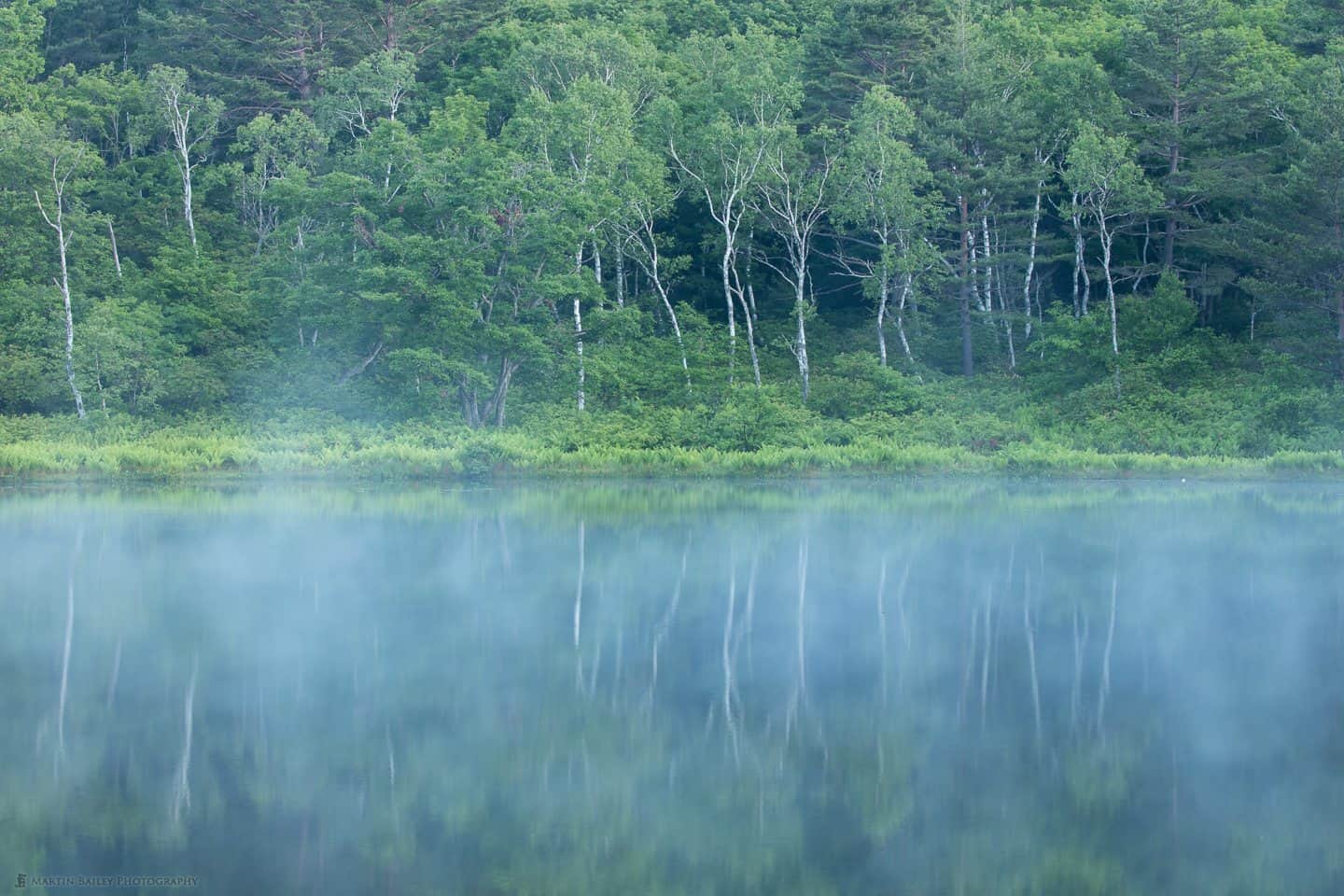 Shigakougen Blue-Green Landscape Travelogue (Podcast 481)