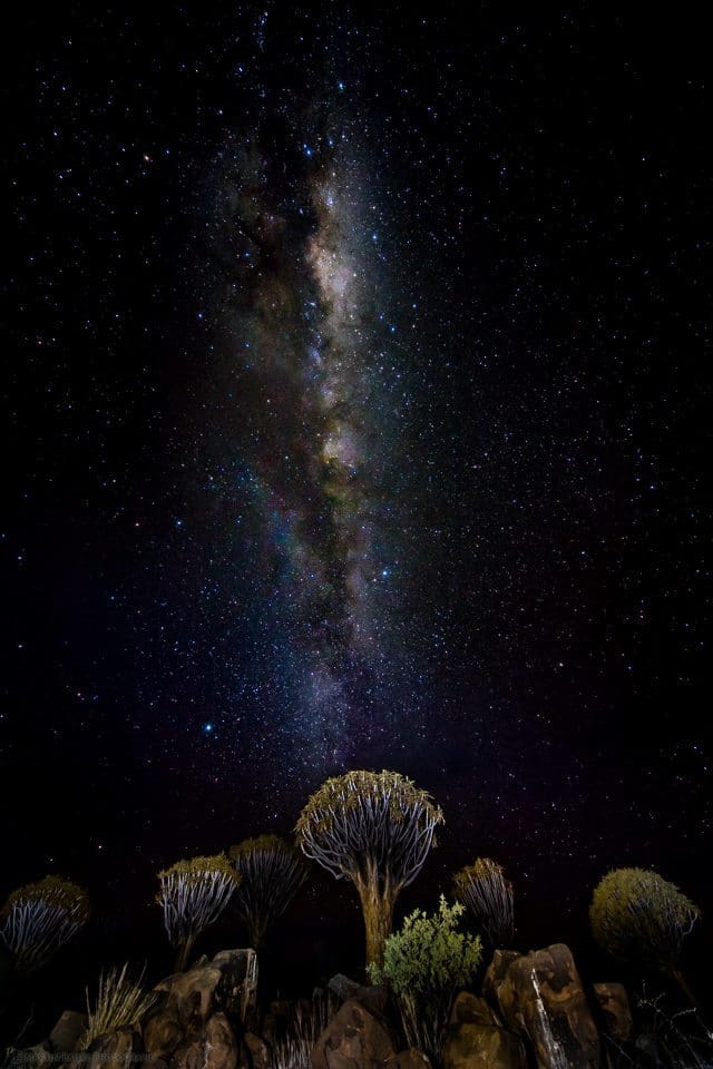 Quiver Trees and Milky Way