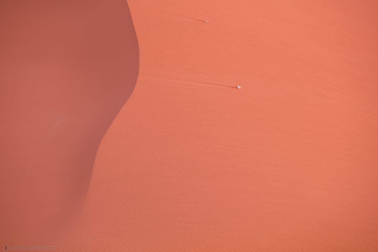 Skull on Dune