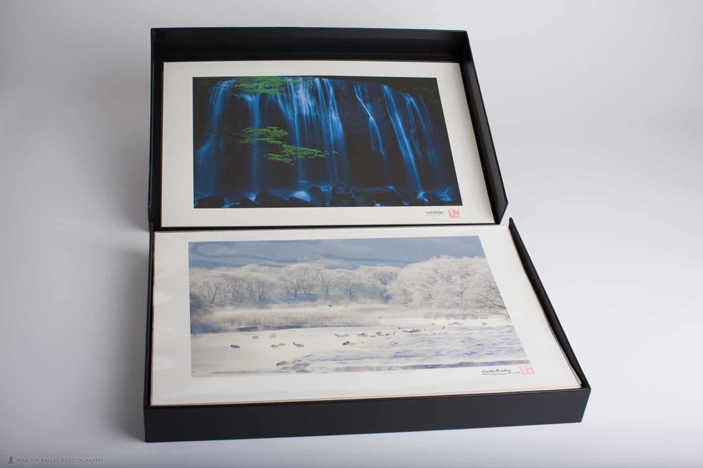 13 x 19" Prints in Polypropylene Sleeves and Clamshell Storage