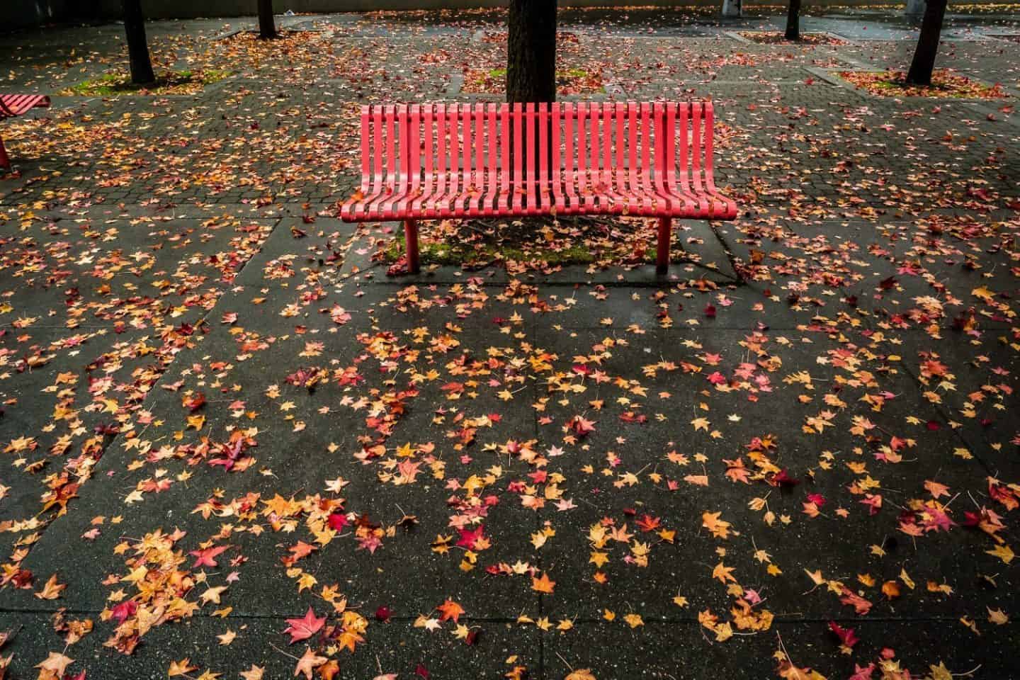 Red Bench by Ibarionex Perello