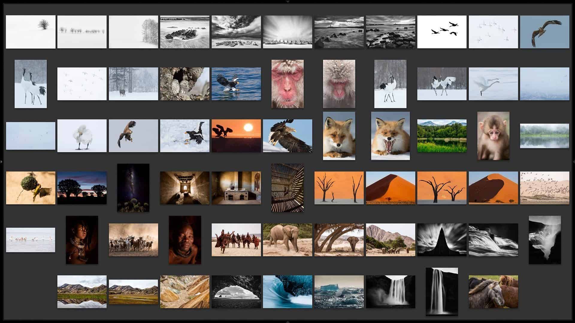 Selecting My Top Ten Photos for 2015 (Podcast 504)