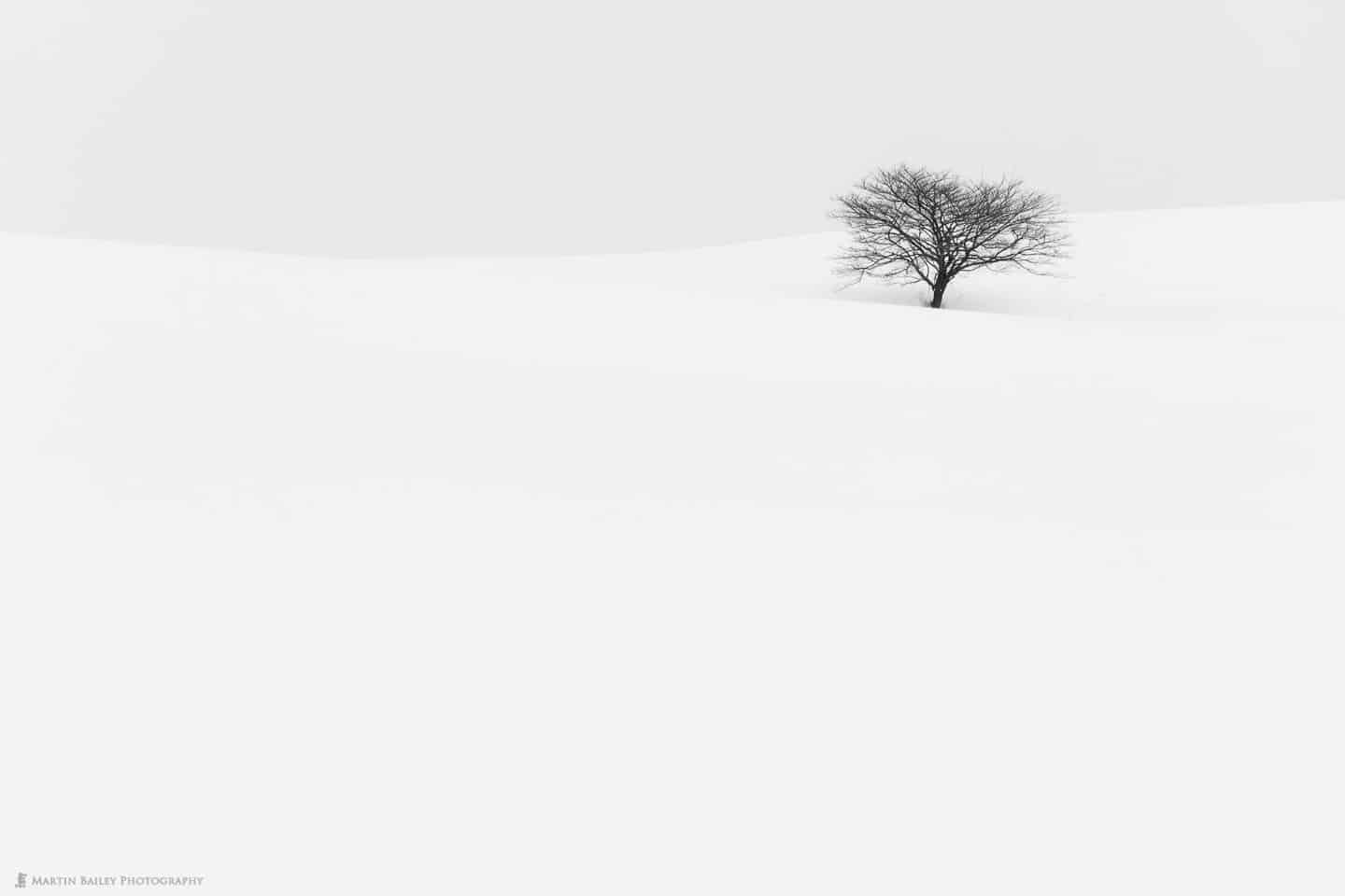 Minimalism in Photography (Podcast 530)