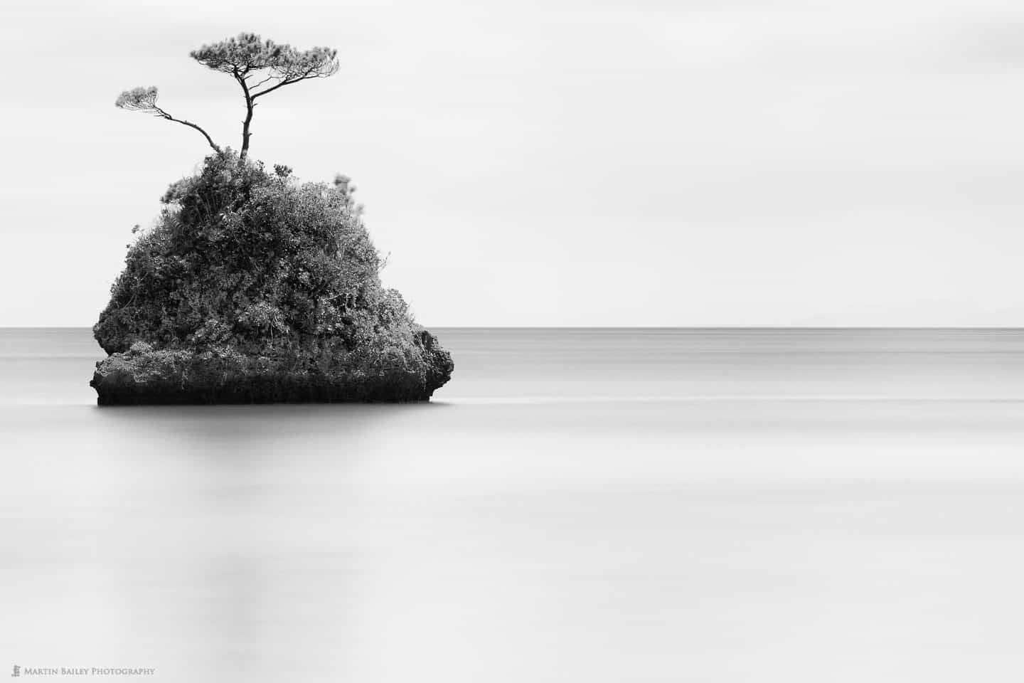Tree, Rock, Sea