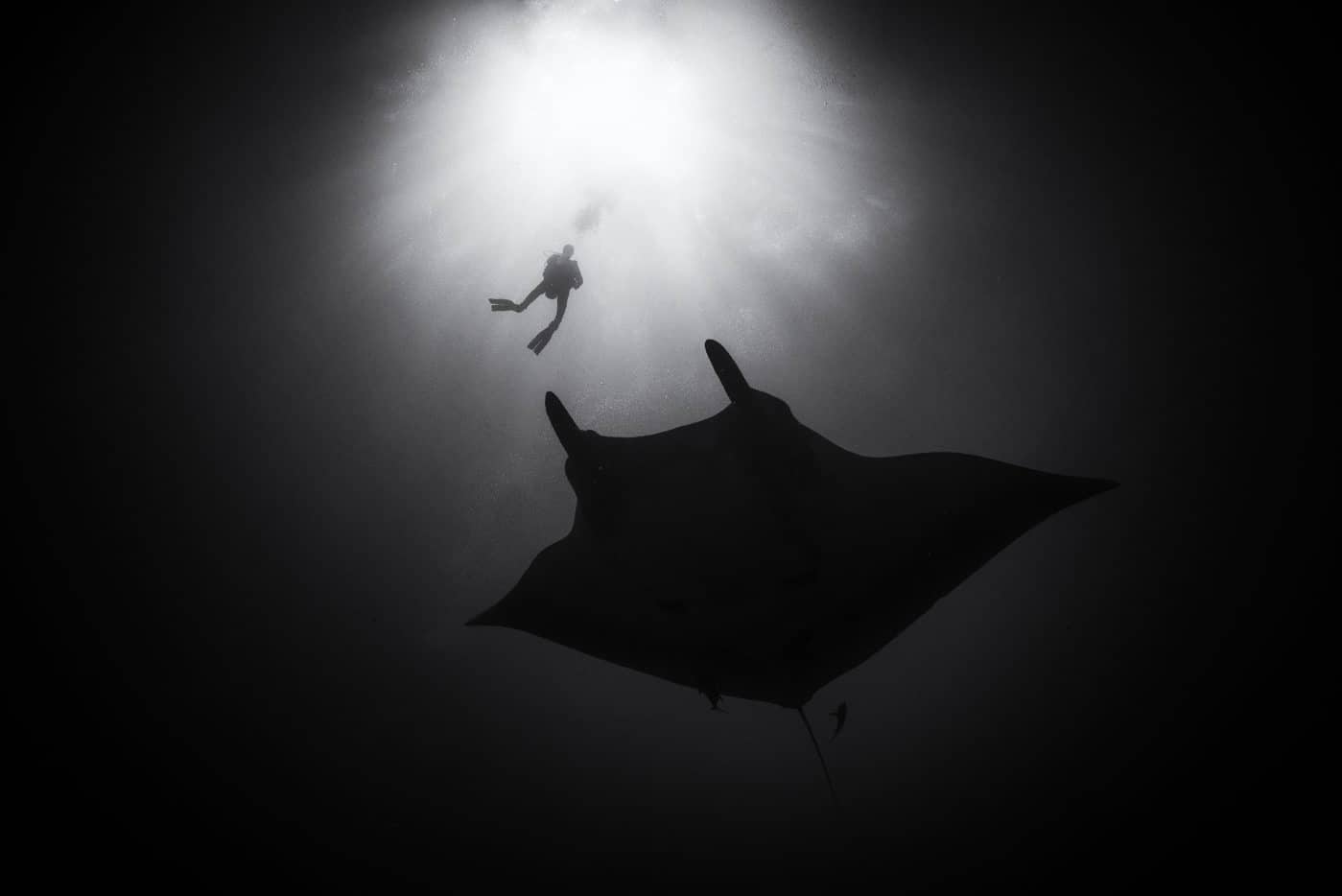 David duChemin on His Underwater Photography (Podcast 535)