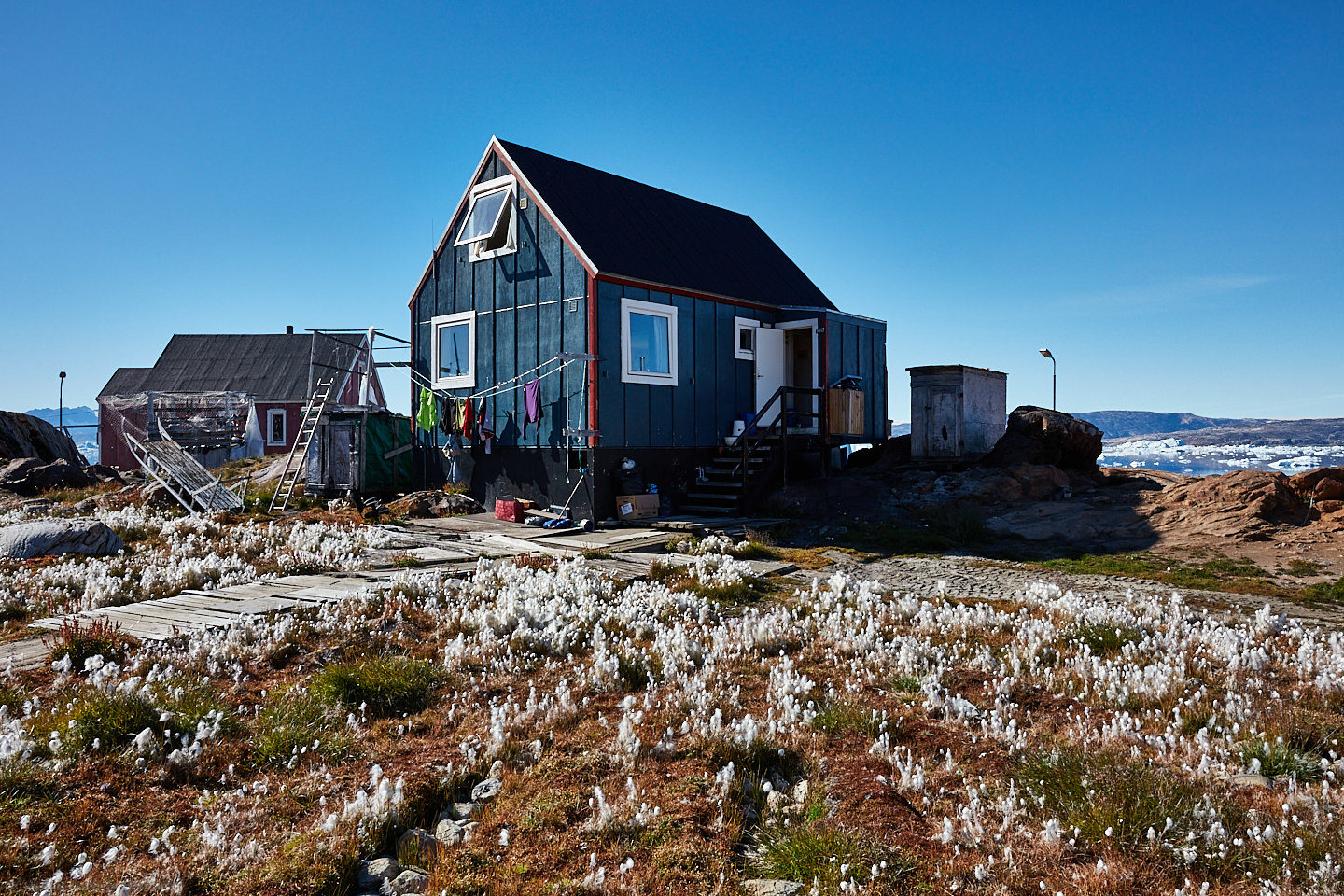 House with Cotton Grass