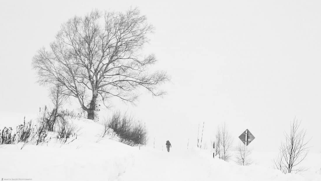 Hokkaido Winter Landscape Photograph Adventure