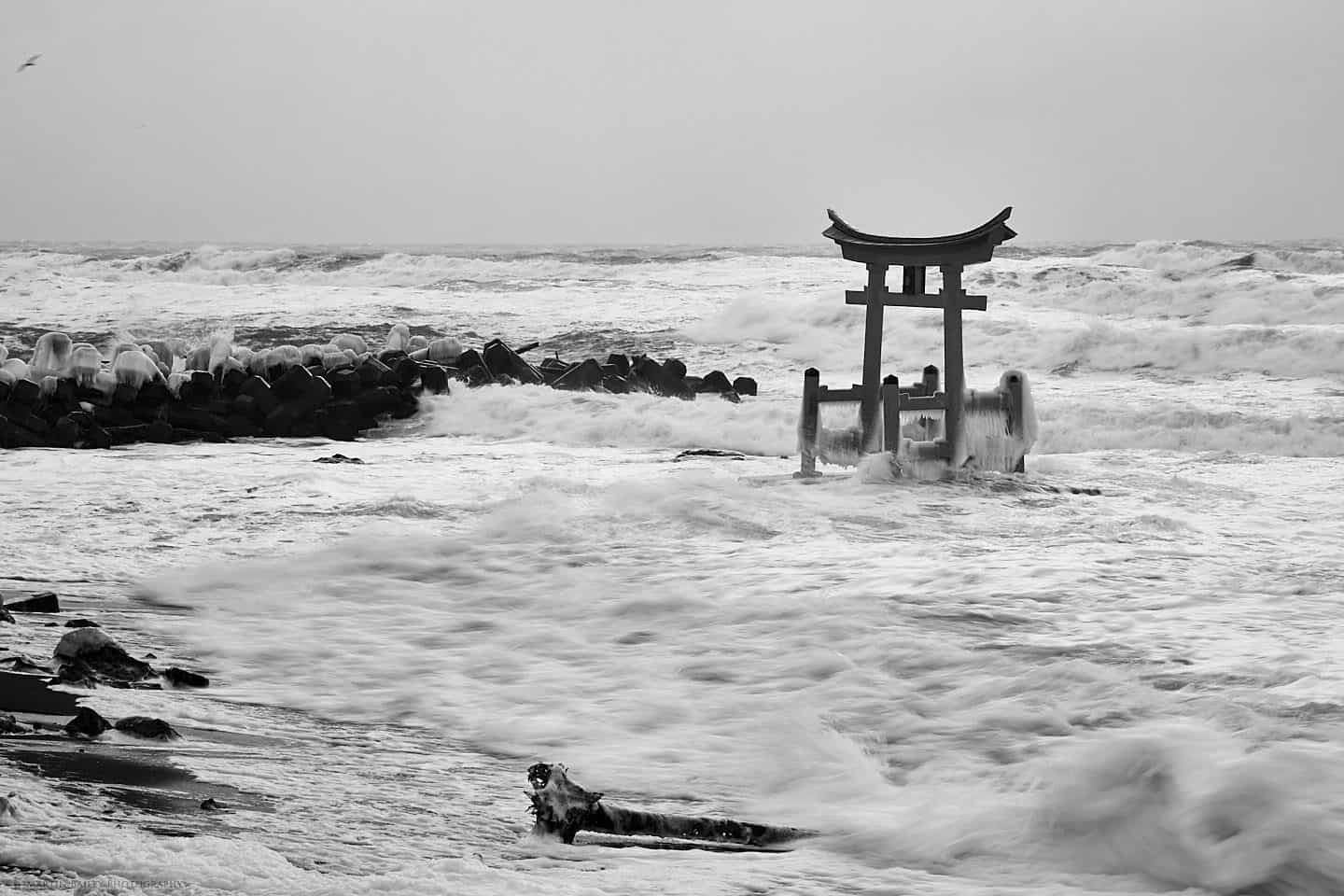 Konpira Shrine Torii in Storm