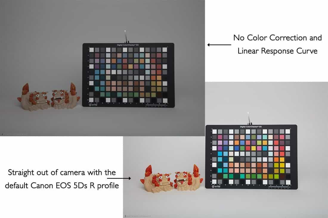 Comparison of Image with Camera Profile and No Color Correction