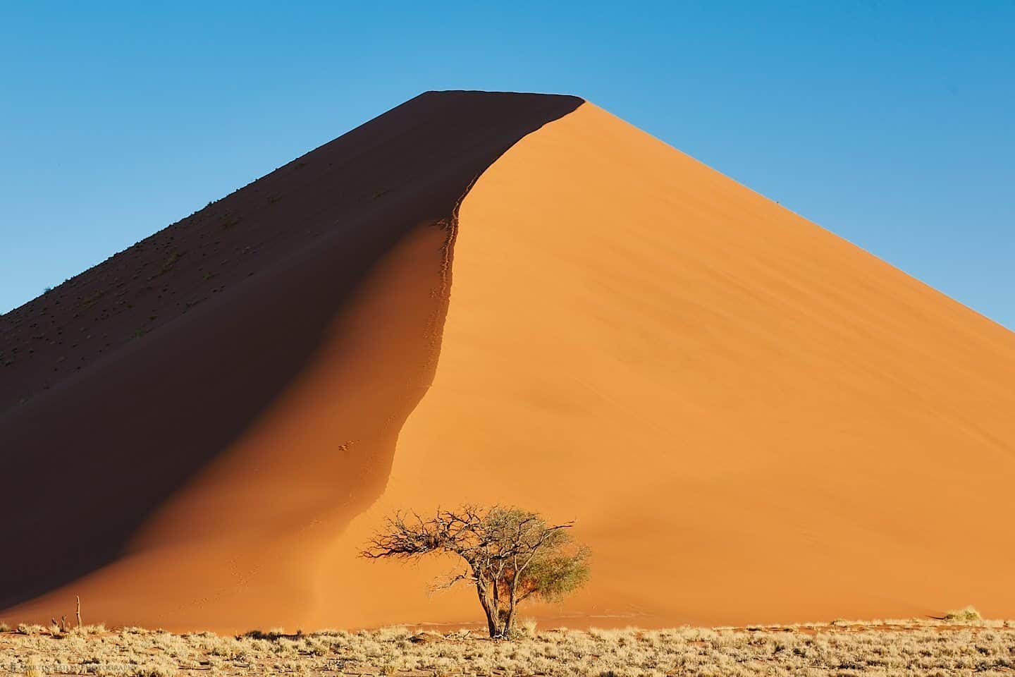 Namibian Dune (from 280 ft)