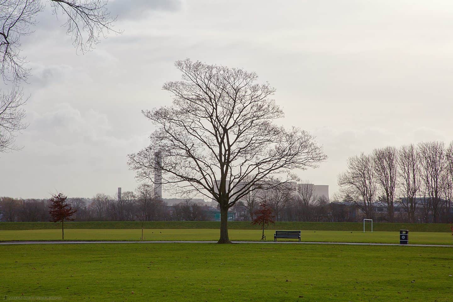 Tree and Power Station at 105mm